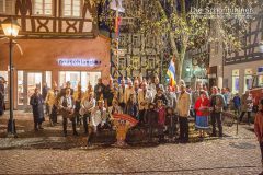 Grimmicher Schuster 2016-2017