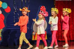 2015-2016-Seniorennachmittag_0027