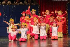 2015-2016-Seniorennachmittag_0058